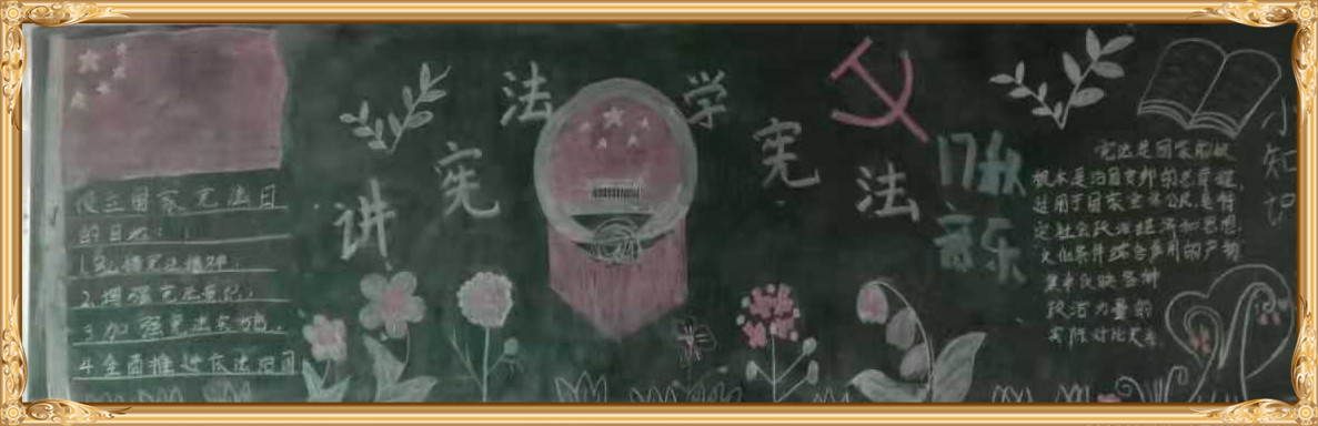 江南网页版学宪法讲宪法 活动开展简报 第九期