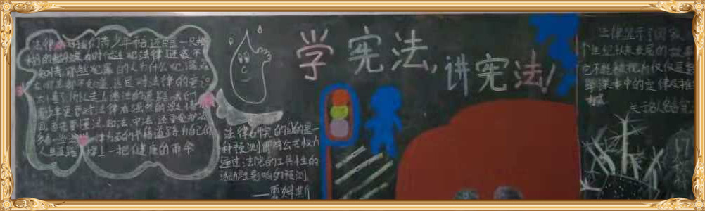 江南网页版学宪法讲宪法 活动开展简报 第九期