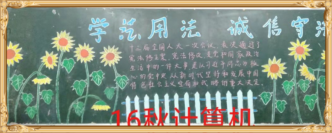 江南网页版学宪法讲宪法 活动开展简报 第九期